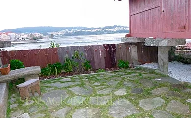 Xeitoxiña en Combarro (Pontevedra) - Foto 12