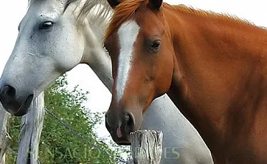 Casa Rural  El Descanso en Hontanas (Burgos) - Foto 9