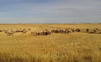 Casa Rural  El Descanso en Hontanas (Burgos) - Foto 13