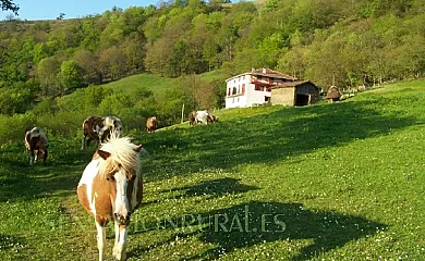 Bagoleko Borda I y II en Etxalar (Navarra) - Foto 1