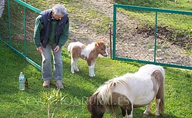 Bagoleko Borda I y II en Etxalar (Navarra) - Foto 2