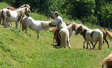 Bagoleko Borda I y II en Etxalar (Navarra) - Foto 6