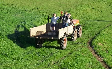 Bagoleko Borda I y II en Etxalar (Navarra) - Foto 7