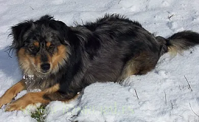 Bagoleko Borda I y II en Etxalar (Navarra) - Foto 12