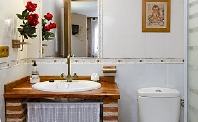 La Cañada Real en Sigueruelo (Segovia) - Foto 13