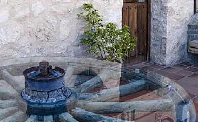 La Cañada Real en Sigueruelo (Segovia) - Foto 15