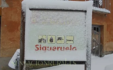 La Cañada Real en Sigueruelo (Segovia) - Foto 18