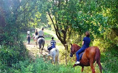 Paraíso Iris en Isla (Cantabria) - Foto 13