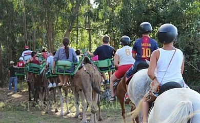 Paraíso Iris en Isla (Cantabria) - Foto 14