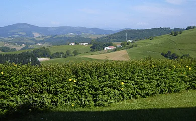 Caserío Izetaerdi en Zarautz (Guipuzcoa) - Foto 12