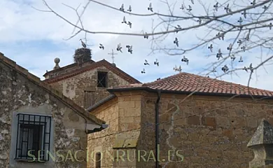 Complejo Turístico Rural Valdelavilla en San Pedro Manrique (Soria) - Foto 15