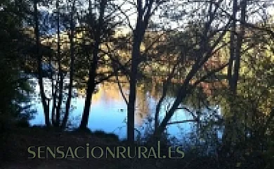 Casa Rural El Campanario en Miranda de Ebro (Burgos) - Foto 7