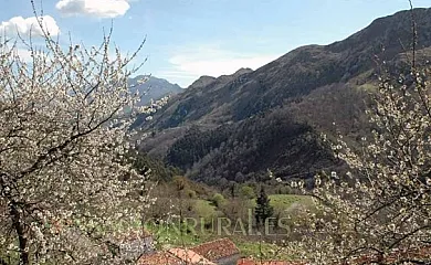 Casa de Encarna - Riensena en Llanes (Asturias) - Foto 8