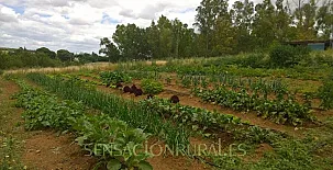 Huerta La Cansina - Alojamientos Rurales 0011
