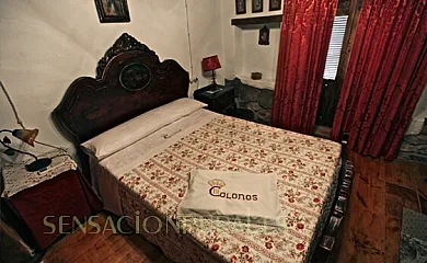 Colonos Aldea El Altico en Guarroman (Jaén) - Foto 15