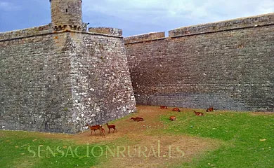 La Casa de Luis en Aratores (Huesca) - Foto 21