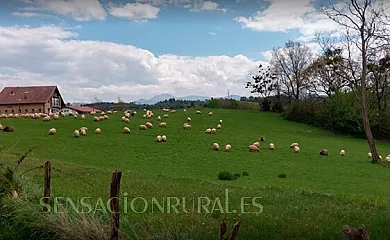 Casa Rural Agroturismo Aristondo en Donostia. San Sebastián (Guipuzcoa) - Foto 11