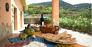 Mas d´Albalat y Mas de Cervera 002