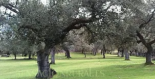 Casas Río Múrtiga 0035