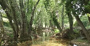 Casas Río Múrtiga 0037