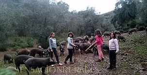 Casas Río Múrtiga 0038