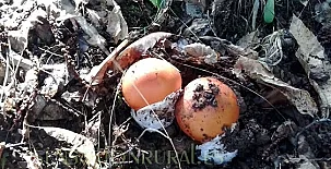 Casas Río Múrtiga 0041