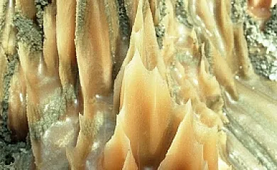 Cal Cabreta en Cardona (Barcelona) - Foto 12