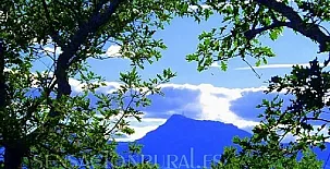 Casa Cordovilla y Abaco 008