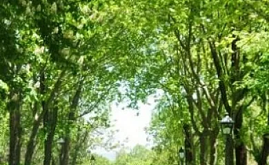 Casa Cordovilla y Abaco en Sequeros (Salamanca) - Foto 12