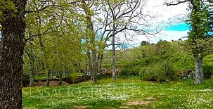 Casa Cordovilla y Abaco 0014