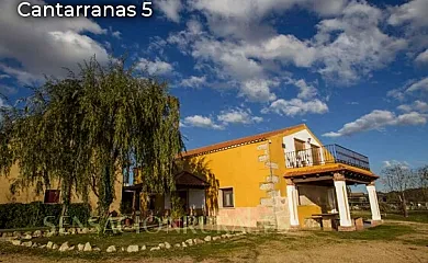 Casas Faustino en Ciudad Rodrigo (Salamanca) - Foto 24