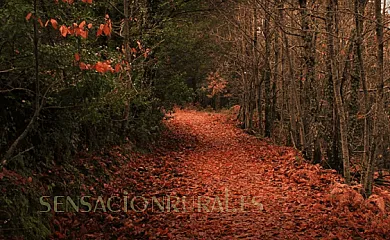 Casa de la Parra en Mogarraz (Salamanca) - Foto 12