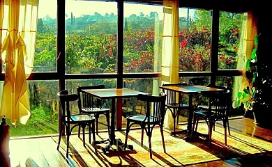 Rectoral de Anllo en Sober (Lugo) - Foto 9