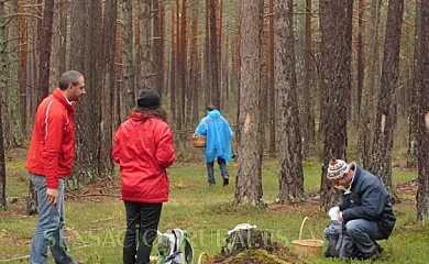Casa La Sierra en Serón de Nagima (Soria) - Foto 14