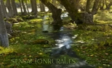 Casa Rural Pablo en Orea (Guadalajara) - Foto 13