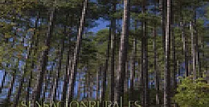 Casa Rural Pablo 0022