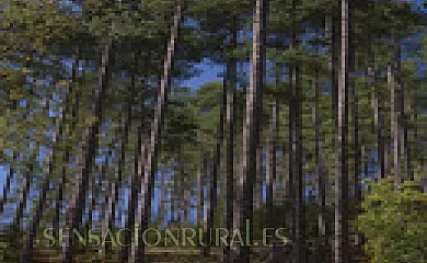 Casa Rural Pablo en Orea (Guadalajara) - Foto 14