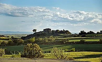 Masía Vilalta en Florejacs (Lleida) - Foto 22