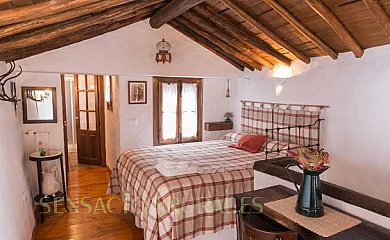 Conjunto Rural Casa Victoria en Villaluenga Del Rosario (Cádiz) - Foto 5