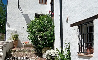 Conjunto Rural Casa Victoria en Villaluenga Del Rosario (Cádiz) - Foto 11