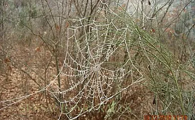 El Sendero del Agua en Trefacio (Zamora) - Foto 19
