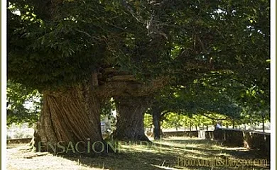 El Sendero del Agua en Trefacio (Zamora) - Foto 20
