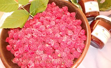 Casa Insol en Denuy (Huesca) - Foto 19