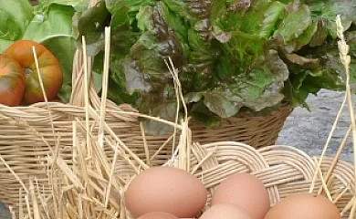 L´Estisora de Casa l´Hereu en Montcortès (Lleida) - Foto 12