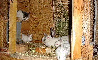 L´Estisora de Casa l´Hereu en Montcortès (Lleida) - Foto 13