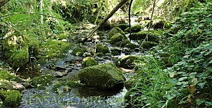 La Venta del Alma 009