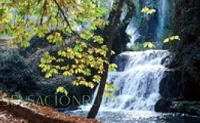 Casa Rural Hoces del Mesa en Jaraba (Zaragoza) - Foto 11