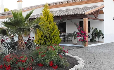 Cortijo Olivar Alto en Vélez Rubio (Almería) - Foto 2