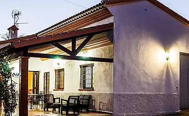 Cortijo Olivar Alto en Vélez Rubio (Almería) - Foto 5