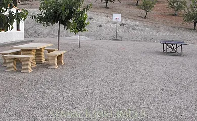 Cortijo Olivar Alto en Vélez Rubio (Almería) - Foto 7